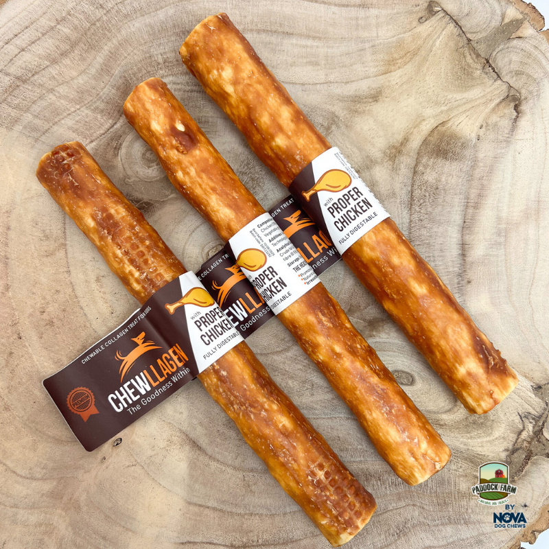 Chewllagen Roll 10”