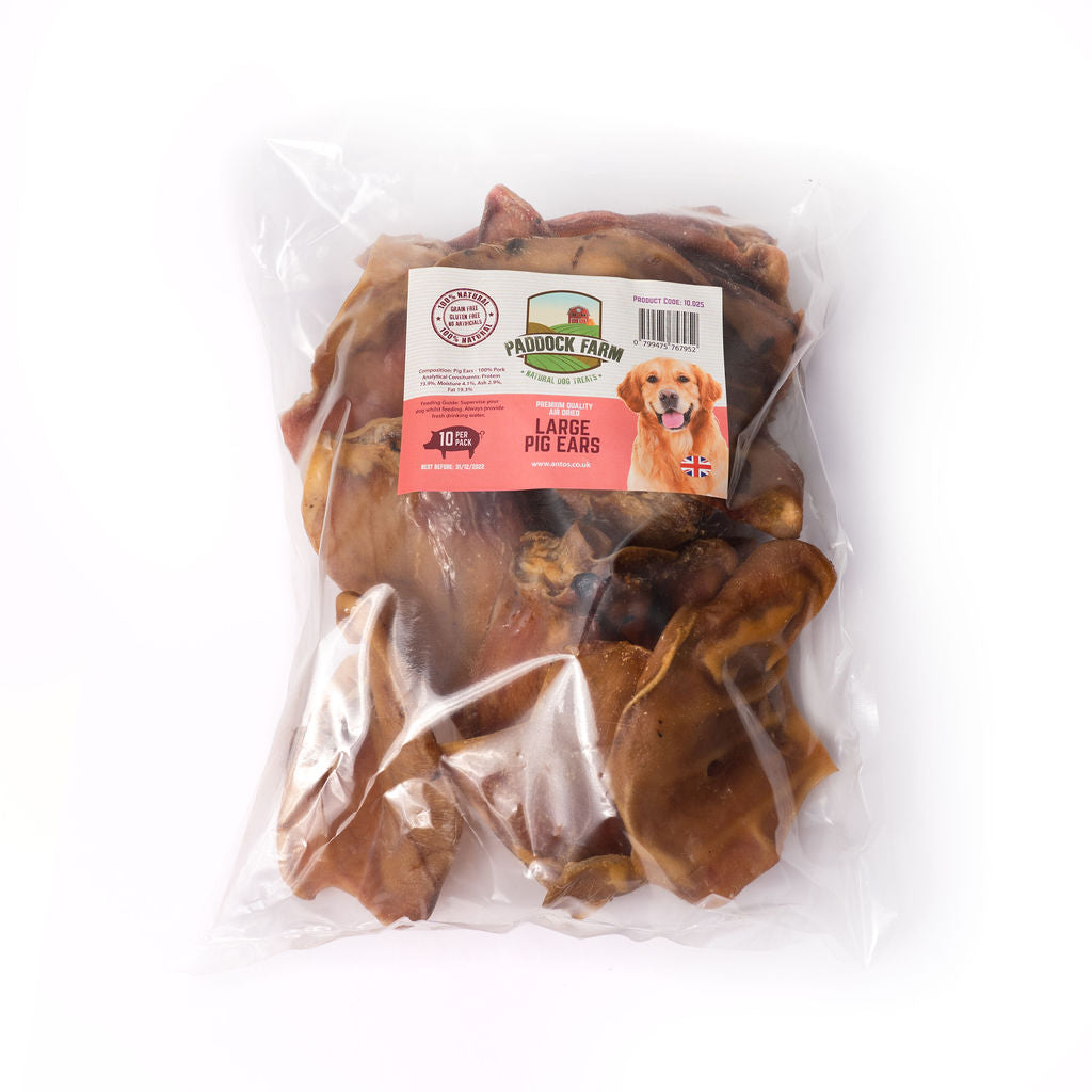 Large Pig Ears (10 pack)