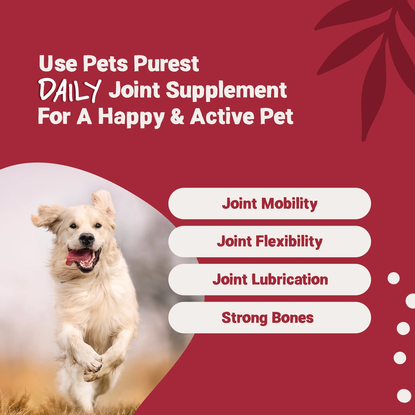 Daily Senior Supplement 300ml