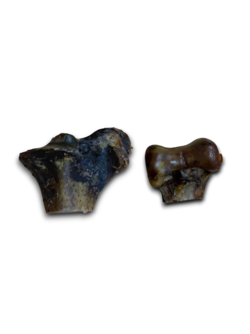 Ostrich knuckle