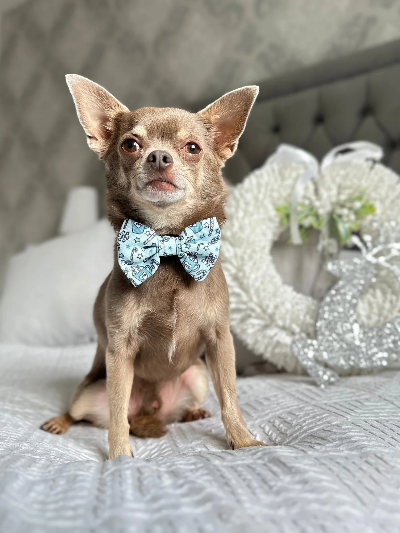 Bow Tie - Candy Cane - Mint