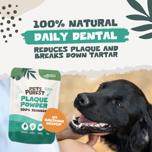 Natural Plaque Removal Powder - 100g