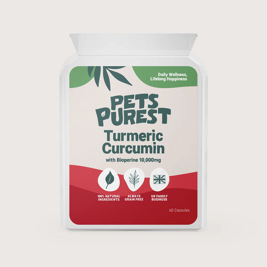 Natural Turmeric Curcumin | 60 Capsules