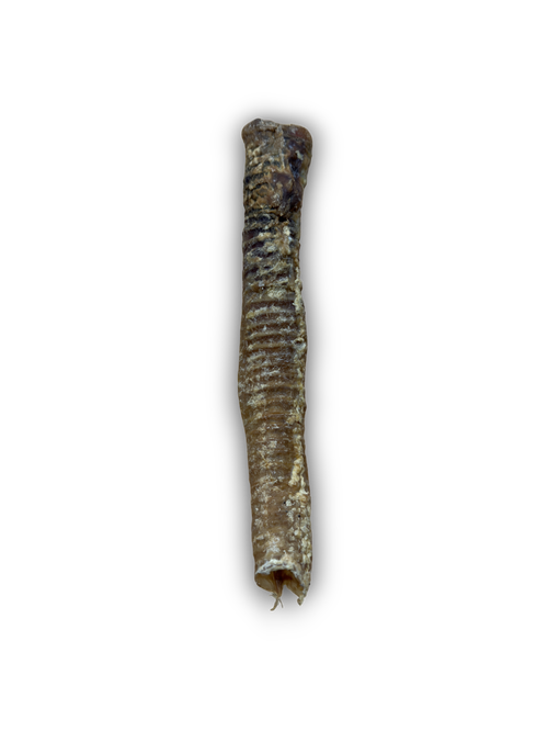 Lamb tubes