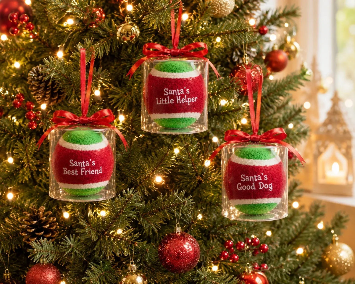 Monty’s Christmas Bauble
