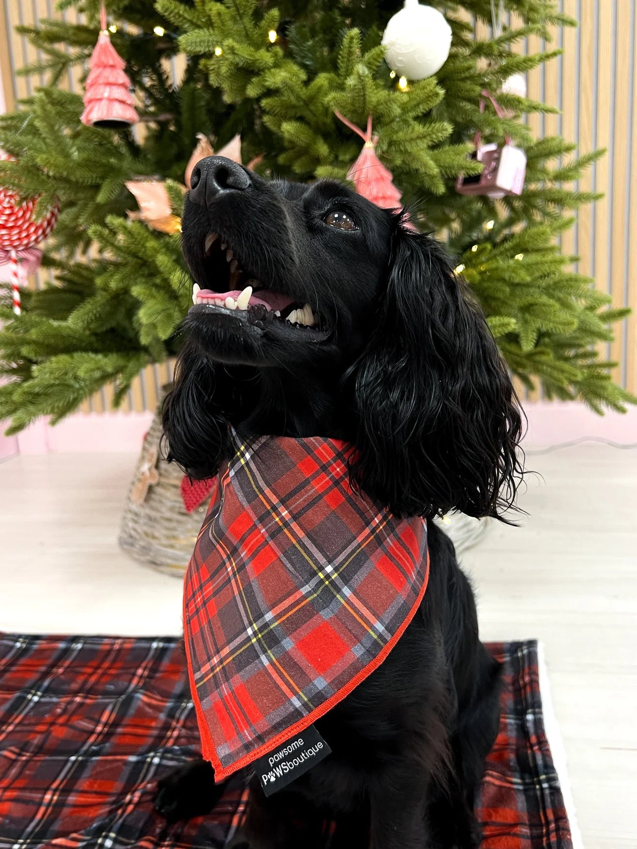 Tie on Bandana - Scottie Dog