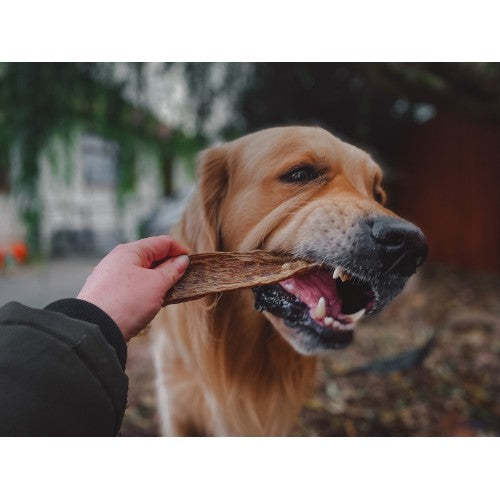 Bully Biltong