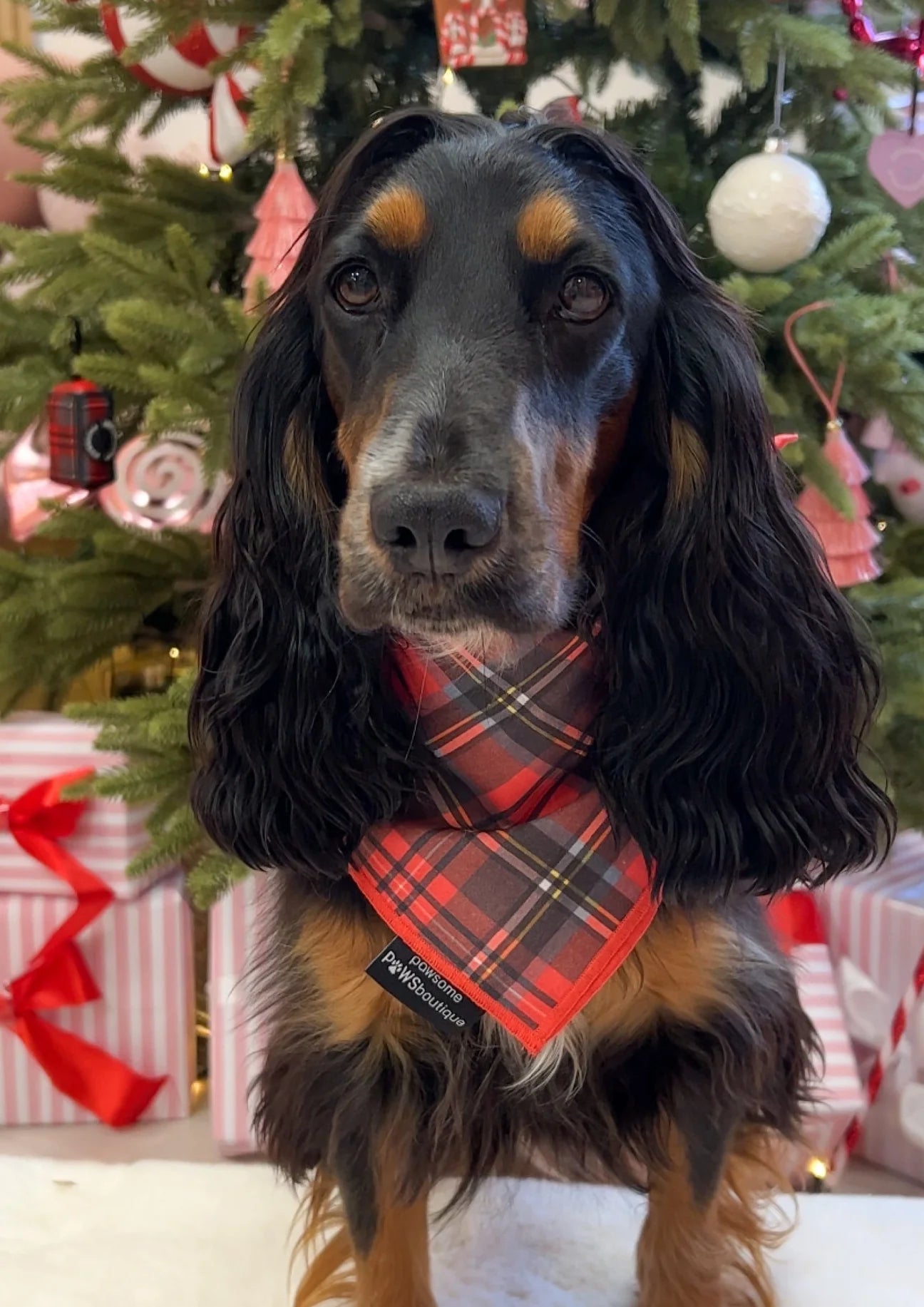 Tie on Bandana - Scottie Dog